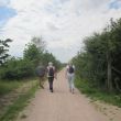 Ecoduct - Bussum 14 km.