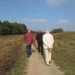 Wandeling LAREN