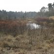 Oisterwijkse vennen wandeling...wow!